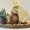 Croquants aux noisettes 140 g